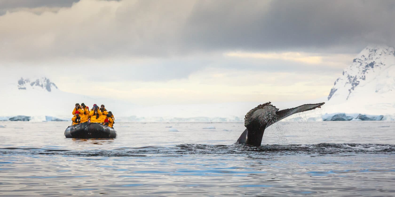 A group of tourists on a boat, watching a whale.