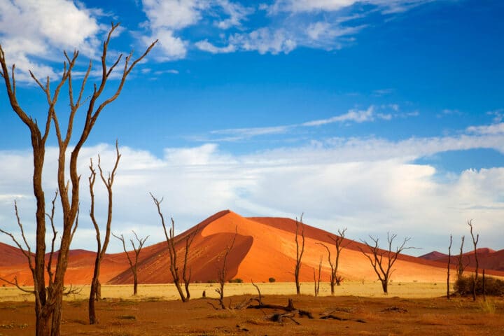 A desert in Namibia.