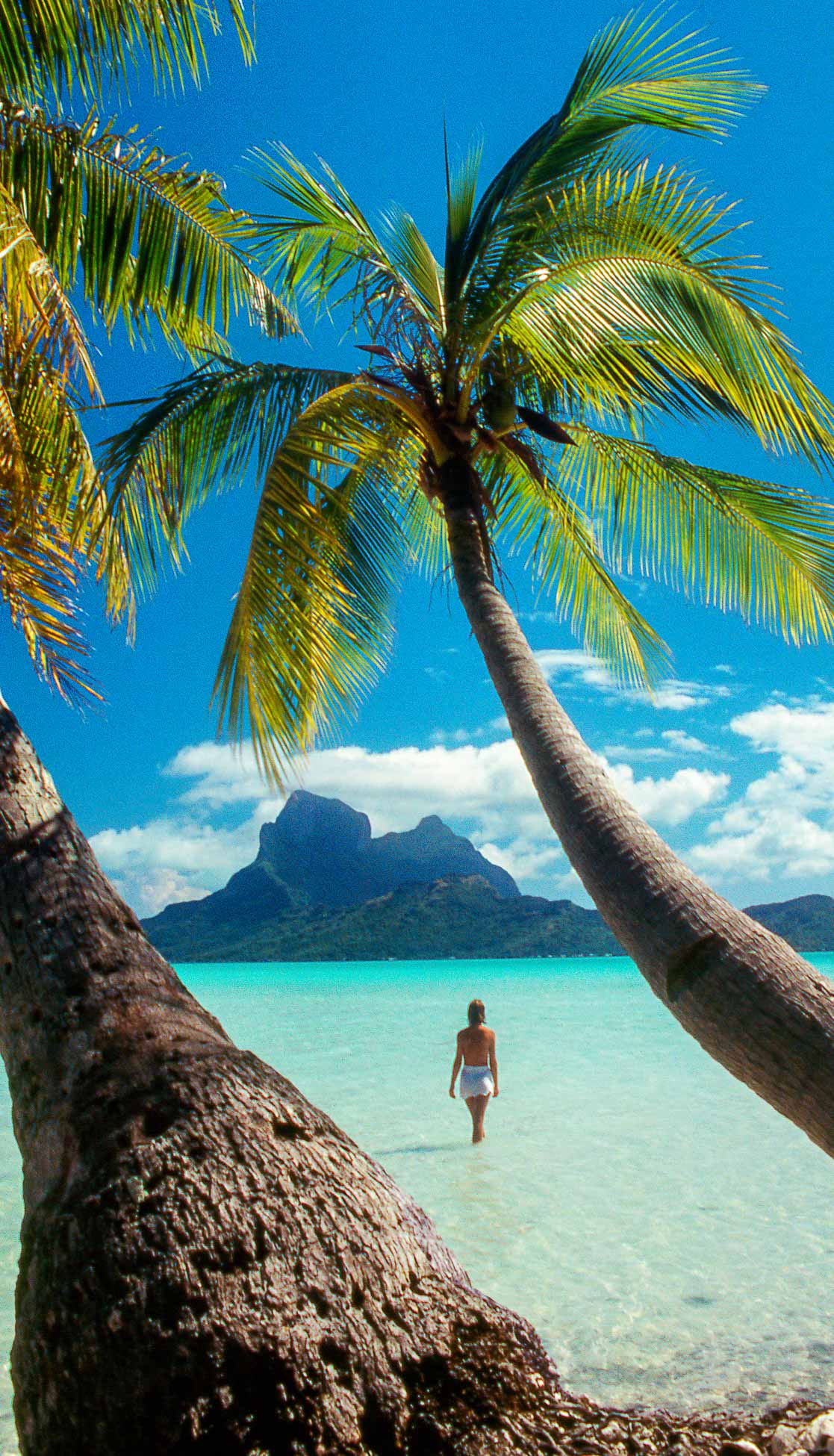 Palm trees and woman walking in the lagoon on the island of Bora Bora.
