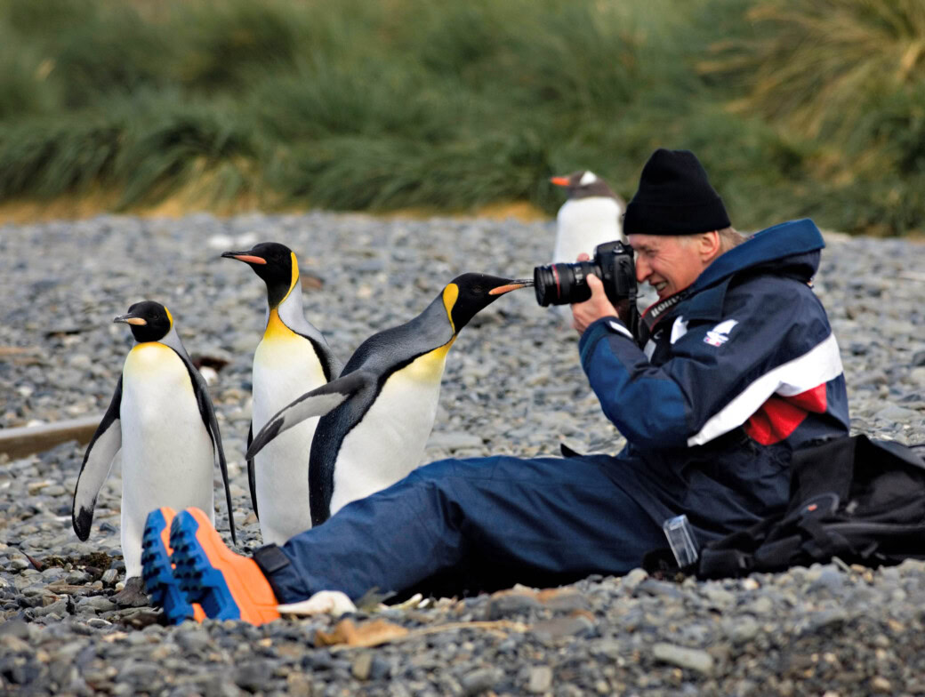 A photographer taking photos of penguins in Georgia.