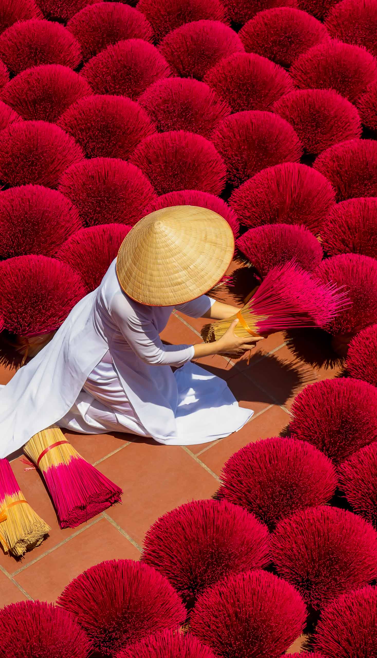 Incense sticks drying outdoor with Vietnamese woman wearing conical hat in Hanoi, Vietnam.