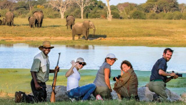 A group of travelers on a safari observing elephants in Zimbabwe.