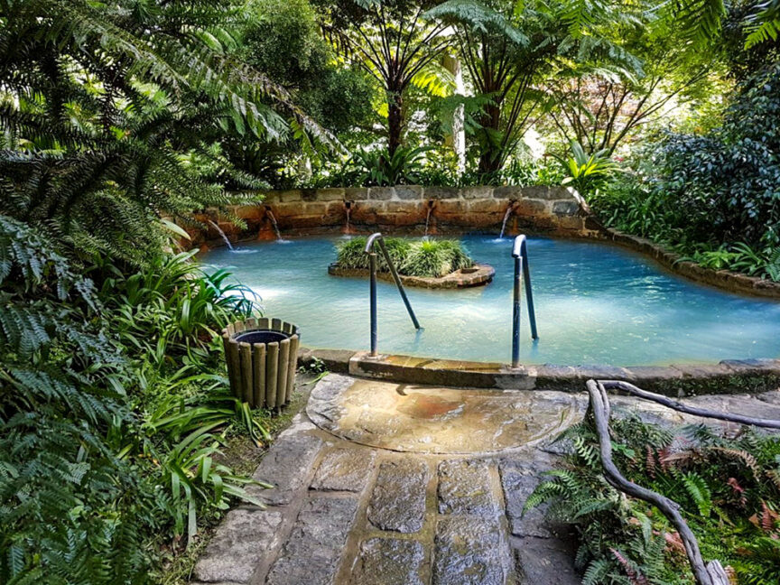 A serene pool surrounded by lush greenery and stone walls, with metal railings leading into the water and a small circular island in the center. Channeling the essence of heavenly hot springs, a wooden bucket is placed on the stone path leading to this tranquil retreat.