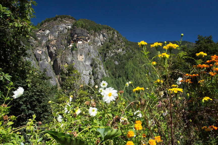 A rocky mountain partially covered in greenery is surrounded by wildflowers, including white, yellow, and orange blooms, under a clear blue sky. The untouched beauty evokes a sense of timeless tradition reminiscent of Bhutan's serene landscapes.