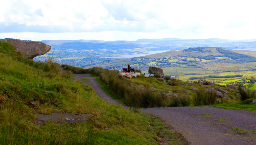 A narrow winding road through a hilly landscape with green fields and a distant river. Sheep are grazing near a large rock by the roadside, offering travelers a true sense of "a hundred thousand welcomes.