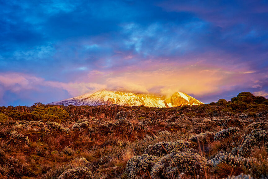 A snow-capped mountain peak, one of the world's iconic peaks, is illuminated by golden sunlight under a vibrant sky at sunrise. Lush vegetation covers the terrain in the foreground.