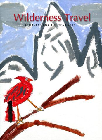 Illustrated magazine cover showcasing a red bird perched on a branch, snowy mountains in the distance, and the title "Wilderness Travel Journeys for the Year 2016," highlighting young artists' contributions to WT’s catalog.