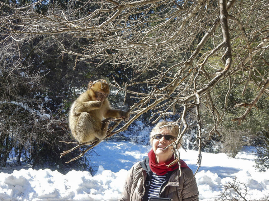 A person stands smiling with sunglasses under a tree where a monkey sits on a branch, looking like they just finished an epic Coast to Coast journey. Snow covers the ground and surrounding trees.