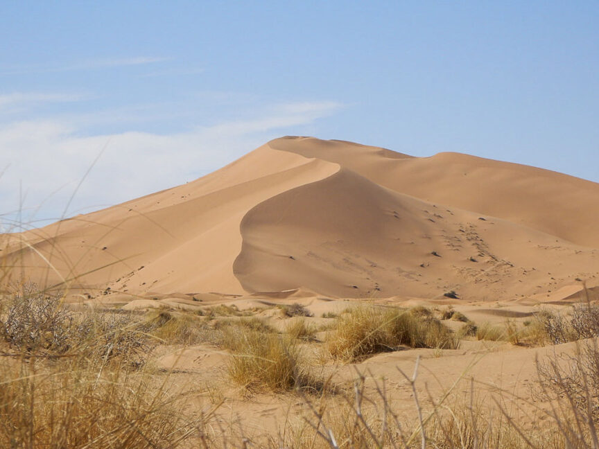 A sand dune rises amidst arid grass and sparse vegetation in a desert landscape under the clear blue sky of Morocco.