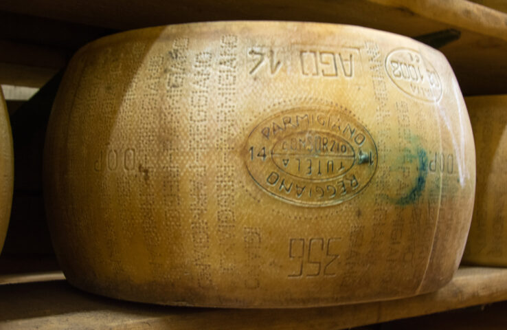 A large wheel of Parmigiano-Reggiano cheese, marked with its origins, rests on a wooden shelf—a true treasure from the Apennines waiting to embark on a culinary adventure.