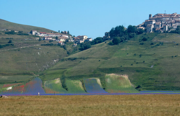 A hillside town in the Apennines overlooks fields of multicolored flowers and patches of green grass against a clear blue sky. In the foreground, two small figures walk through the landscape, embarking on an adventure.