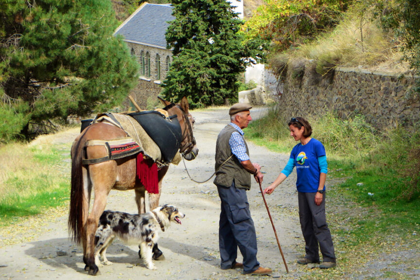 An authentic scene unfolds as a man with a cane, a horse, and a dog speaks to a woman in a blue shirt on a dirt path near an old stone building and trees in Spain.