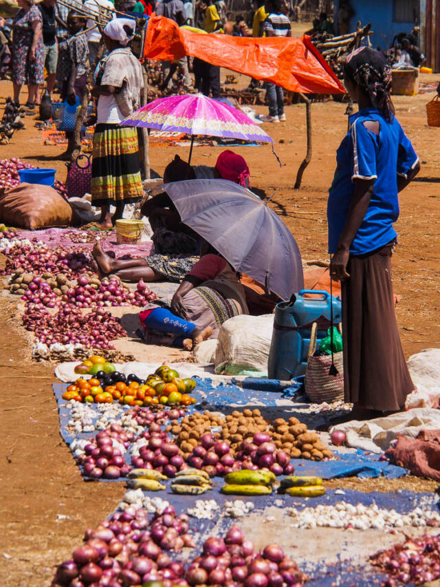 Vendors in Ethiopia sell onions, tomatoes, and potatoes under colorful umbrellas at an outdoor market. Shoppers browse the vibrant produce on a sunny day, making it a lively travel destination.