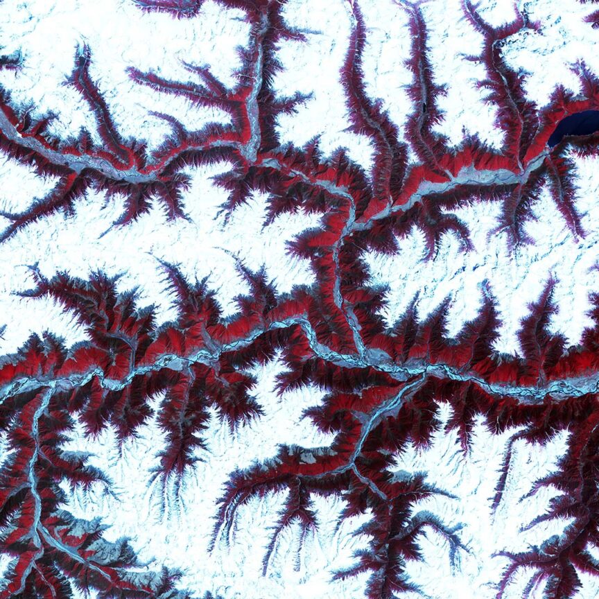 A stunning satellite image showing a white and red pattern resembling a complex network of rivers or branches over Earth's rough terrain, with distinct veins and varying shades.