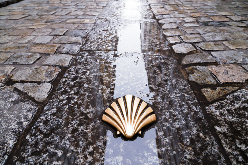 A bronze scallop shell marker embedded in a wet cobblestone pathway serves as a poignant reminder of the international trips that were canceled.