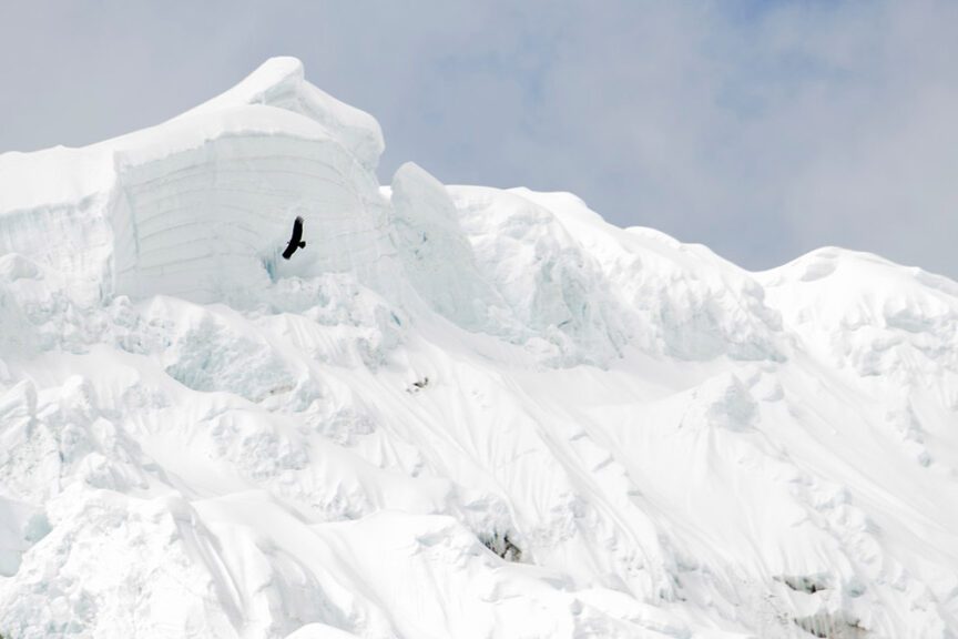 A black bird soars near snow-covered mountainous terrain under a partly cloudy sky, echoing the wilds of Peru—nature's grandeur celebrating in Peru.