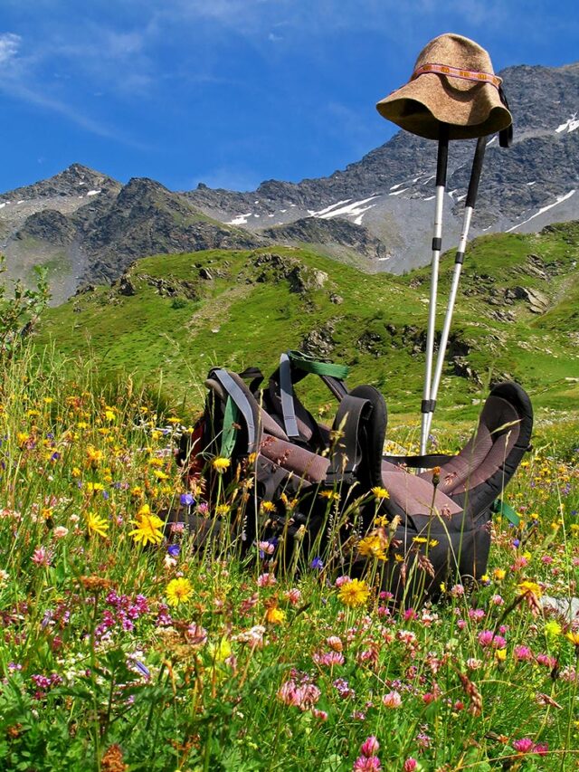 A backpack, walking sticks, and a hat set in a colorful alpine meadow with mountain peaks in the background under a clear blue sky—perfect essentials for any hiking adventure.