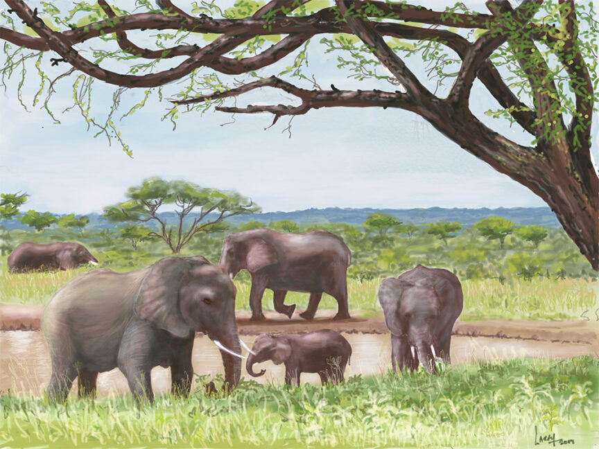 A group of elephants, including calves, stands near a pond under a large tree in a grassy landscape with scattered trees and distant hills, capturing the essence of a Tanzania Safari.