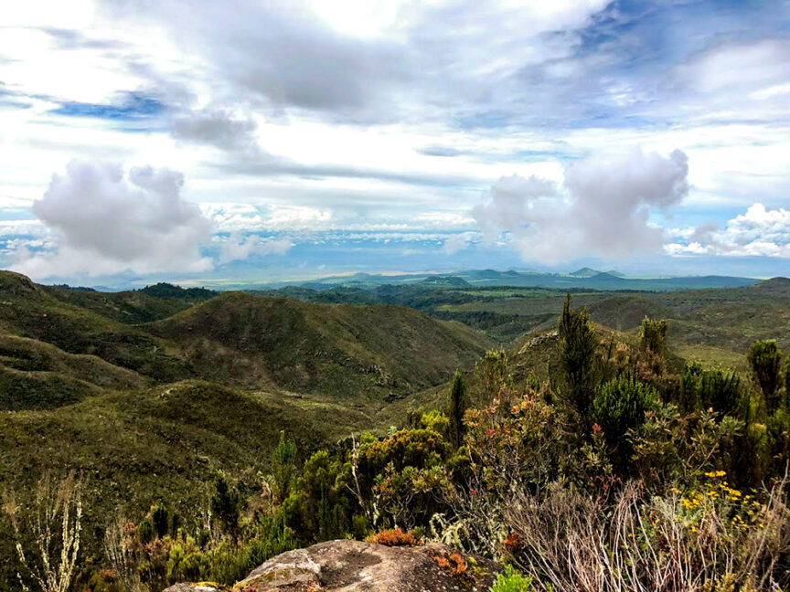 A vast landscape of rolling green hills under a cloudy sky, with distant mountains on the horizon and various shrubs and vegetation in the foreground, reminiscent of stories Grandmother told about her adventures while climbing Kili.