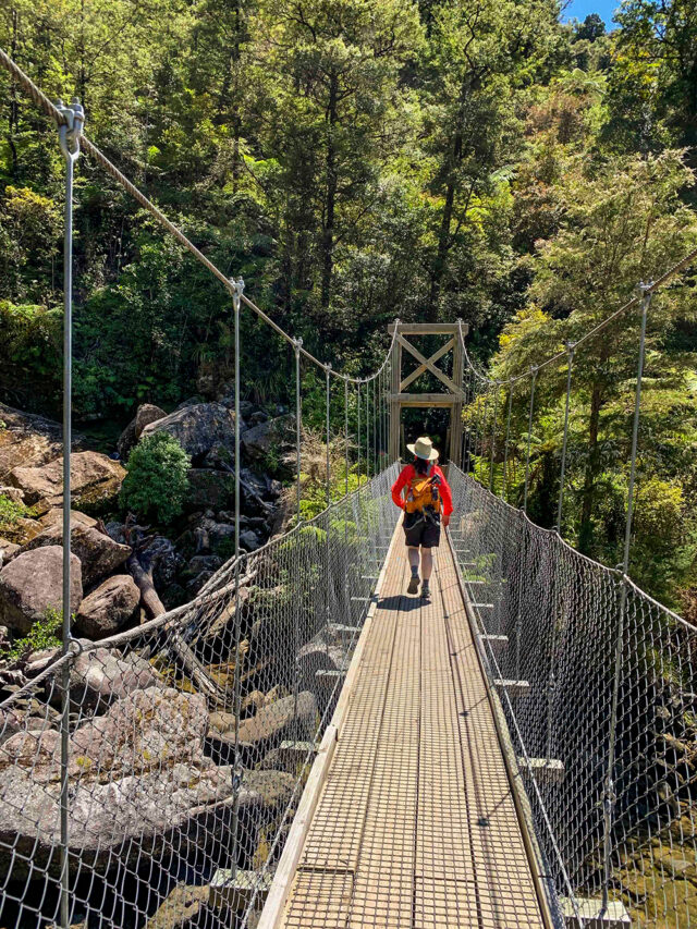 A person wearing a red jacket and carrying a backpack walks across a narrow suspension bridge surrounded by a lush forest, with distant mountains hinting at the breathtaking landscapes of New Zealand.