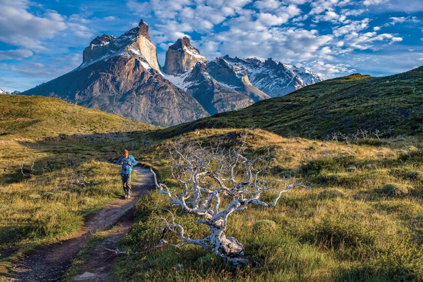 A person in outdoor gear walks on a trail through grassy hills with a barren tree in the foreground and snow-capped mountains in the background under a partly cloudy sky, dreaming of canceled international REI adventures.