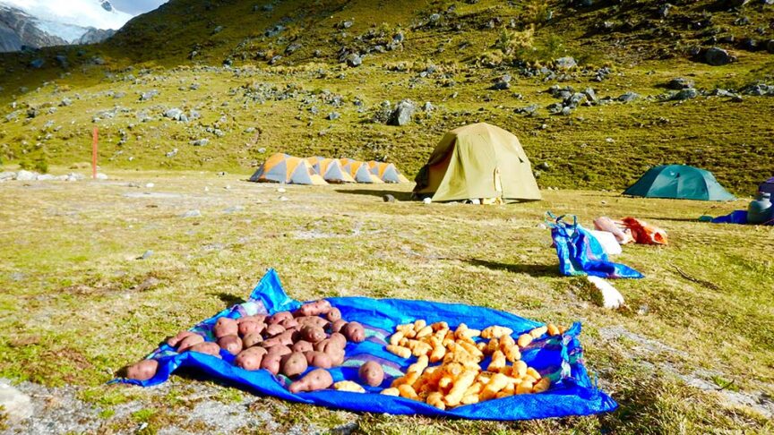 Potatoes and other vegetables placed on a blue tarp in front of tents at a campsite on grass and rocky terrain with hills in the background, perfect for a Peru travel wildlife adventure.