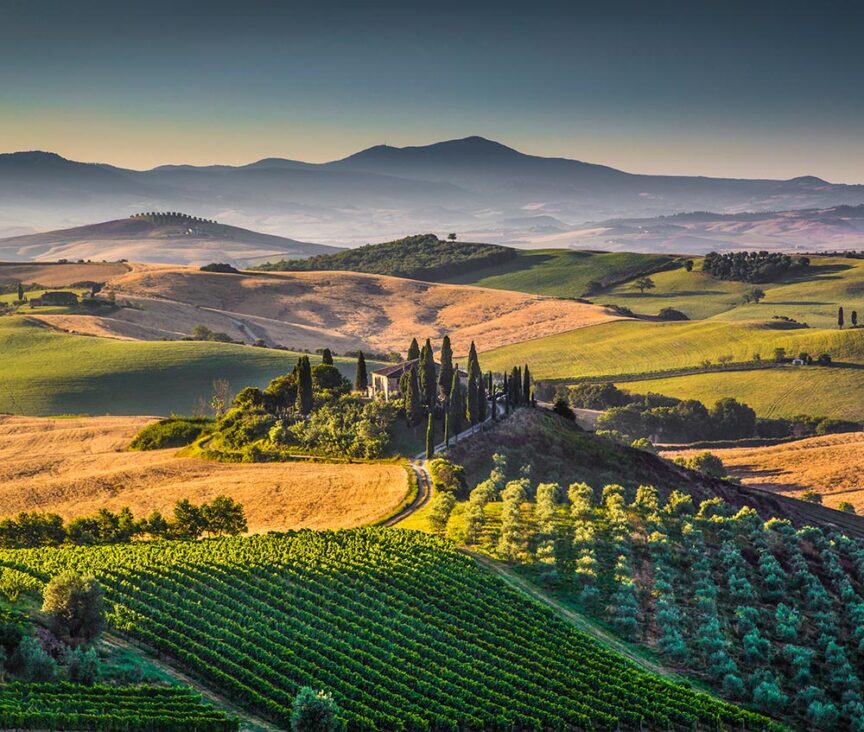 Rolling hills with a mix of green vineyards, cypress trees, and golden fields under a clear sky. Historic paths wind through the landscape, leading to distant mountains visible in the background.