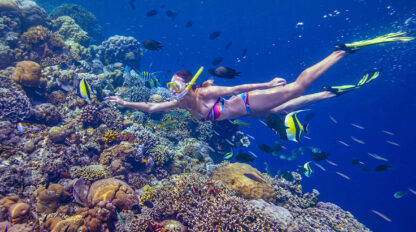 A snorkeler wearing fins and a mask swims underwater near a coral reef surrounded by various fish, offering a glimpse of what awaits on your next snorkeling trip.