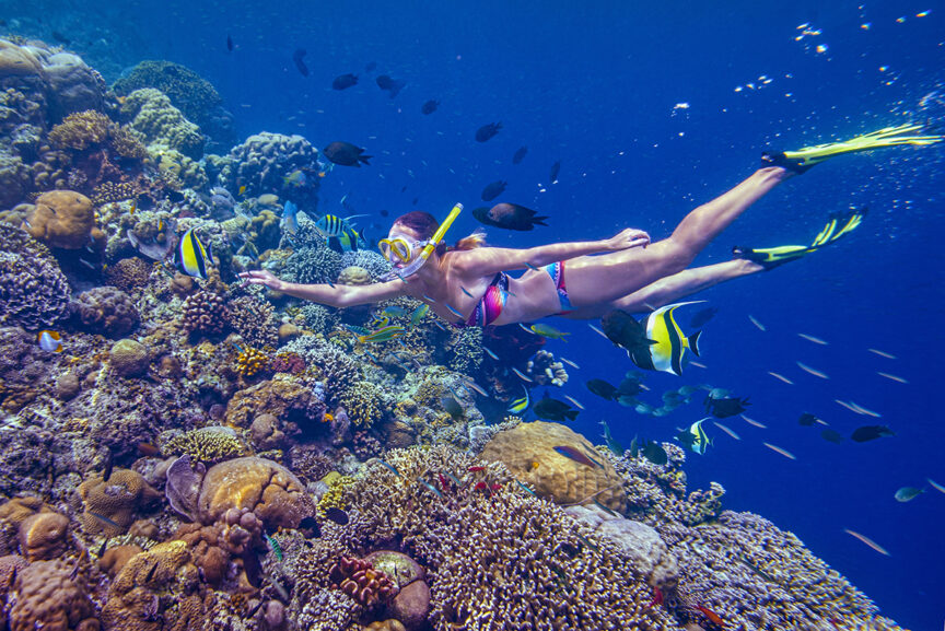 A snorkeler wearing fins and a mask swims underwater near a coral reef surrounded by various fish, offering a glimpse of what awaits on your next snorkeling trip.