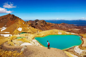 A person in a blue shirt and red backpack stands overlooking vibrant turquoise lakes amidst the rocky terrain of New Zealand's National Parks under a clear blue sky.