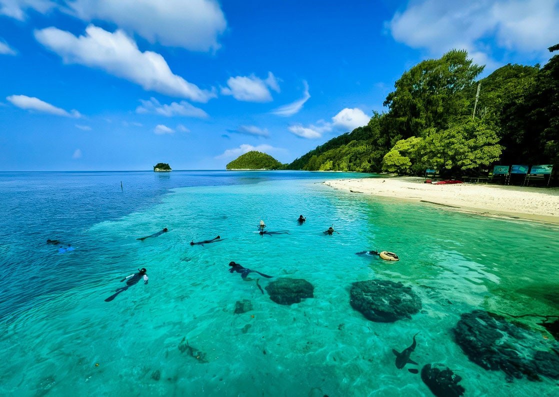 People snorkeling in the clear turquoise water near a sandy beach are exploring the Coral Triangle's vibrant marine life, with lush green trees framing their view and a small distant island under a perfect blue sky.