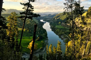 A serene river winds through a lush green valley, reminiscent of New Zealand's breathtaking national parks, flanked by tall trees and rolling hills under a partly cloudy sky at sunset.