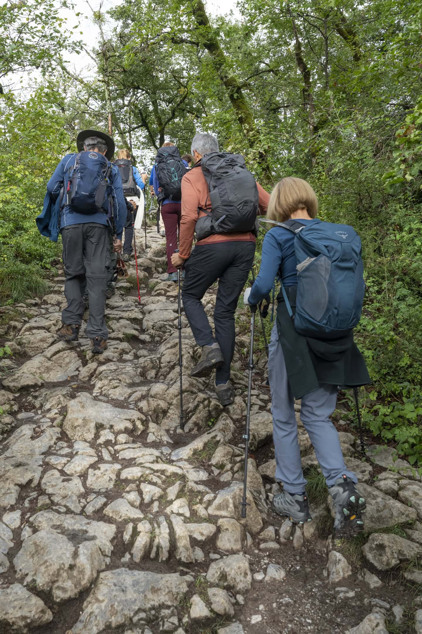 A group of hikers with backpacks and trekking poles ascend a rocky, tree-lined path, surrounded by the vibrant colors of autumn.