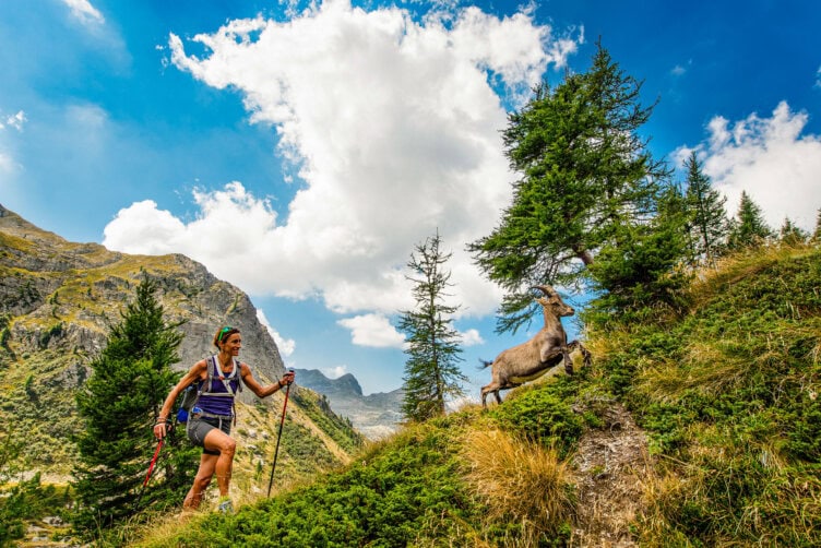 A hiker with trekking poles navigates a mountain trail in the Alps, encountering a curious goat. Under a cloudy sky, the scene is framed by towering trees and majestic mountains, embodying the timeless allure of travel across all seasons.