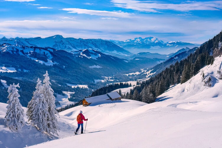 A person in a red jacket skis downhill in the snowy Alps, surrounded by fir trees and overlooking a valley with distant peaks under a blue sky. It's the best time to travel and experience this breathtaking mountain landscape.