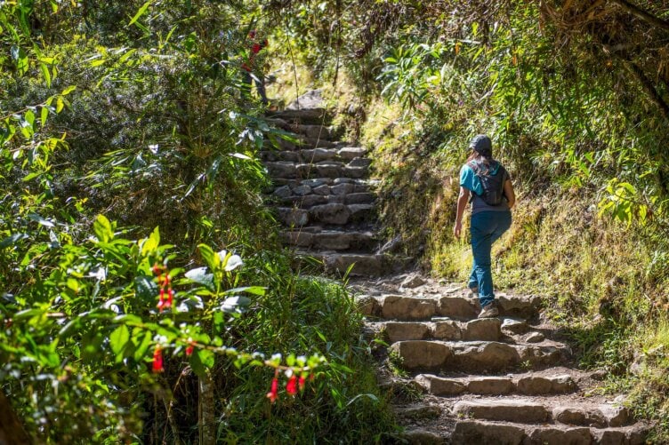 A person embarks on a challenging 5-day hike up a rocky forest trail, reminiscent of the iconic Inca Trail, surrounded by vibrant green foliage and striking red flowers.
