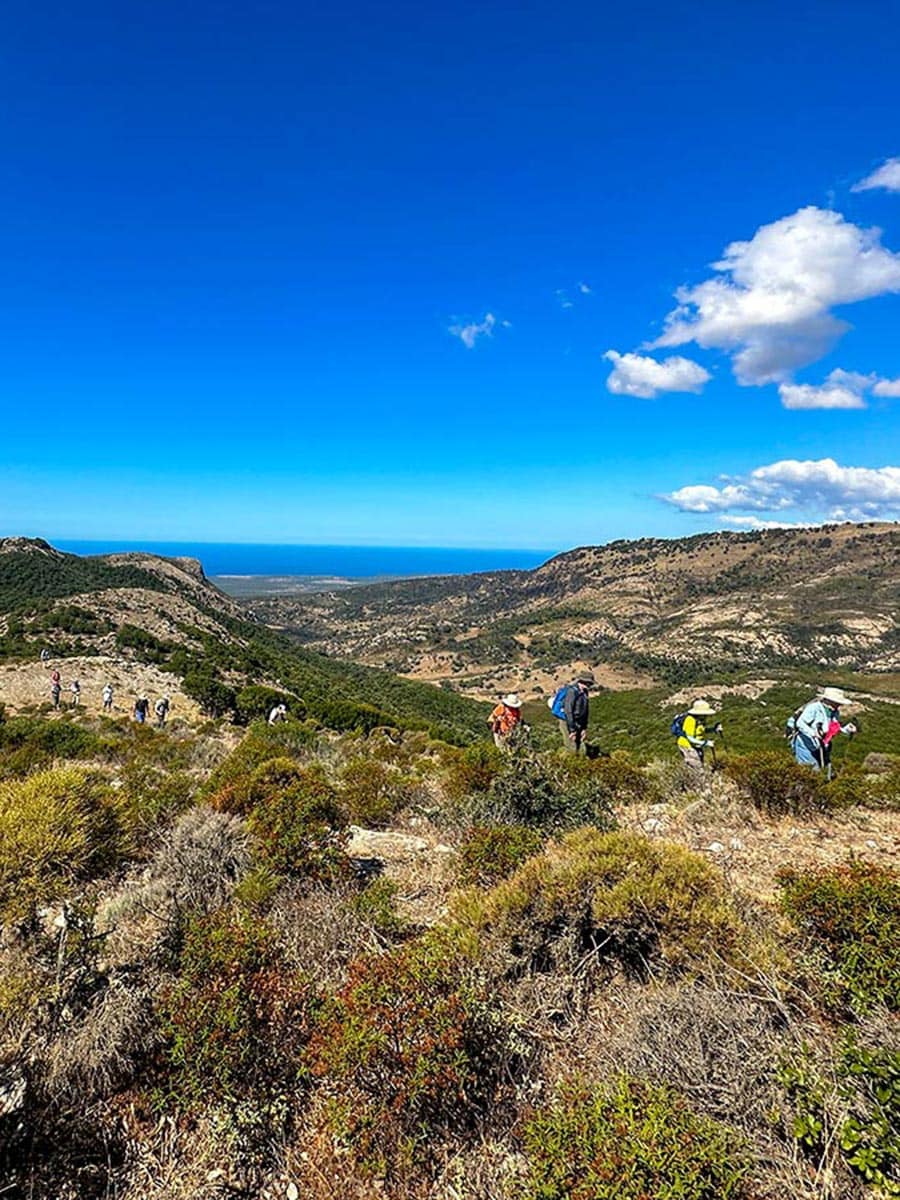 Hikers traverse a hilly landscape with sparse vegetation under a bright blue sky, soaking in distant views of the ocean and hills reminiscent of Sardinia.