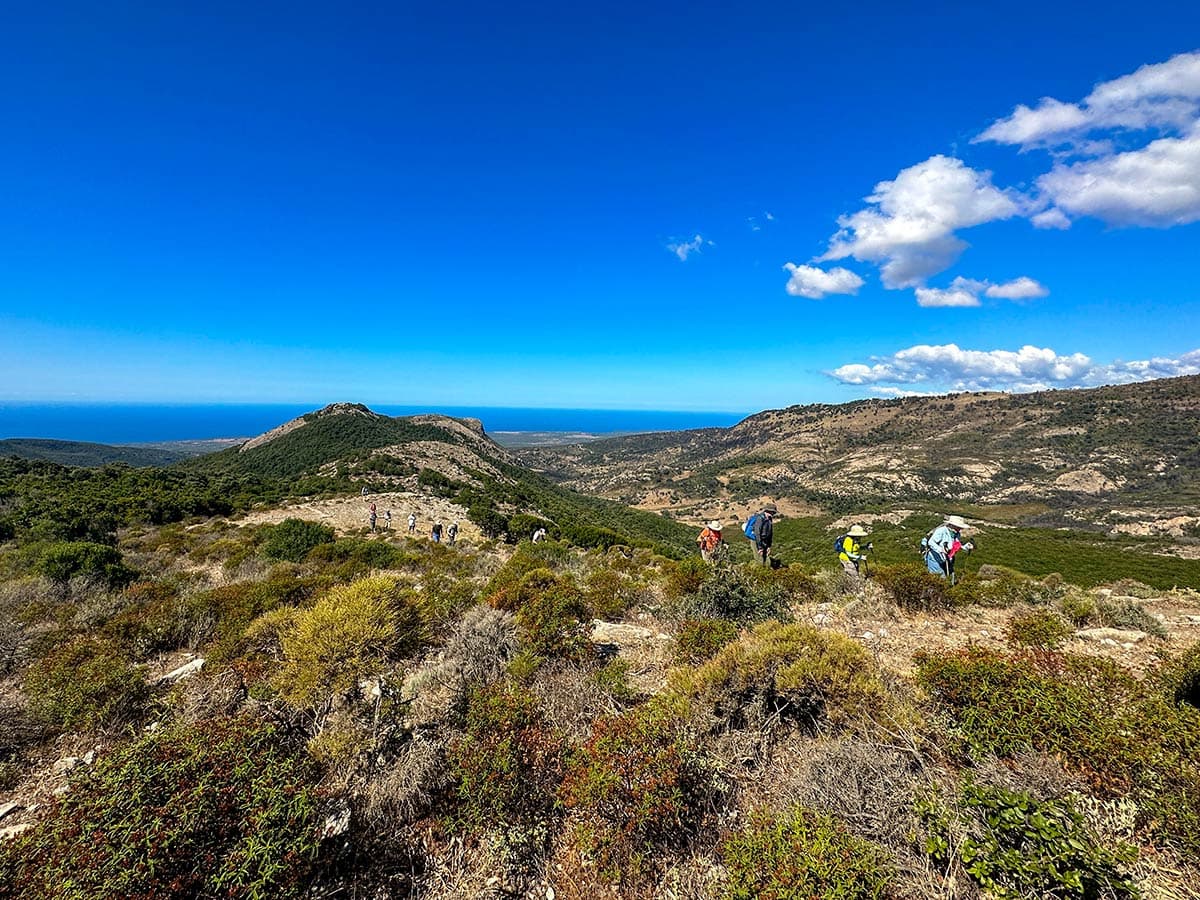 Hikers explore a rocky hillside under a clear blue sky, with the distant mountains of Corsica and the shimmering sea in the background.
