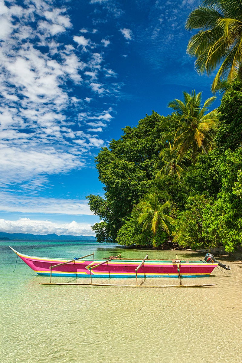 Two colorful boats are docked in the shallow, clear waters of Cenderawasih Bay near a tropical beach. It's July, and the lush green trees sway under the azure blue sky, inviting visitors to enjoy snorkeling amidst vibrant marine life.