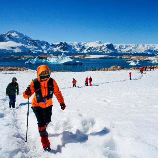 People in winter clothing walk on a snowy landscape near icy water and mountains under a clear blue sky, experiencing the breathtaking beauty of an Antarctica tour.